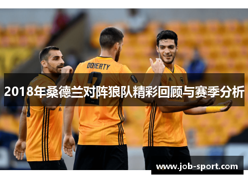 2018年桑德兰对阵狼队精彩回顾与赛季分析