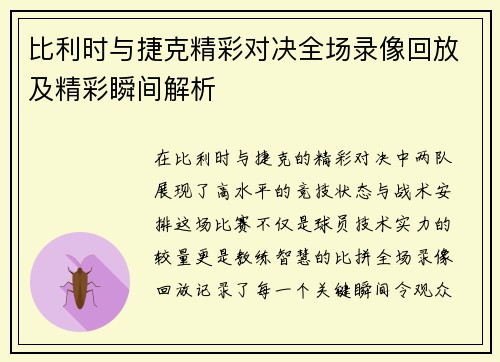 比利时与捷克精彩对决全场录像回放及精彩瞬间解析